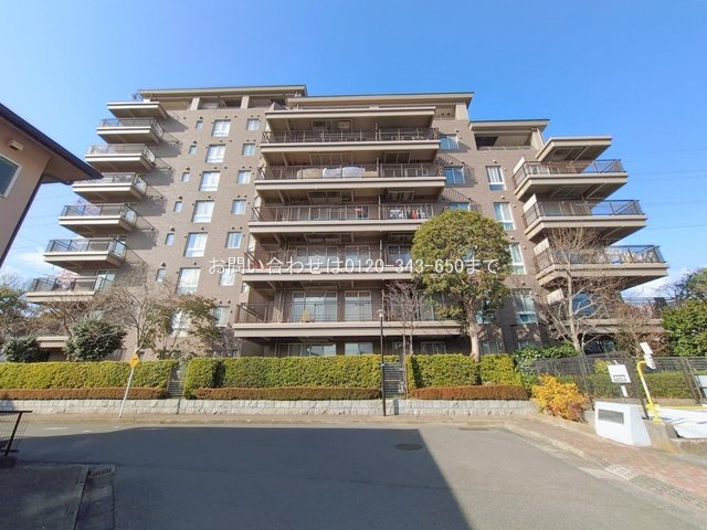 撮影日(2026-01-19 00:00:00)