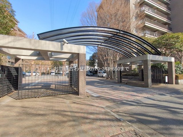 撮影日(2026-01-19 00:00:00)