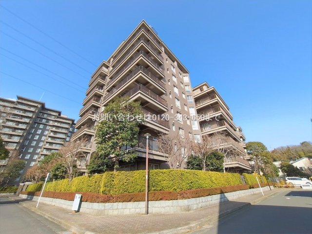 撮影日(2026-01-19 00:00:00)