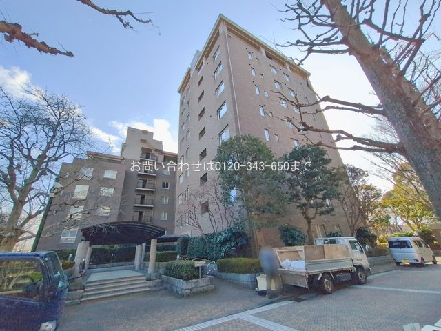 撮影日(2026-01-19 00:00:00)