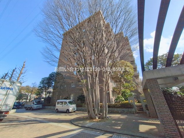 撮影日(2026-01-19 00:00:00)