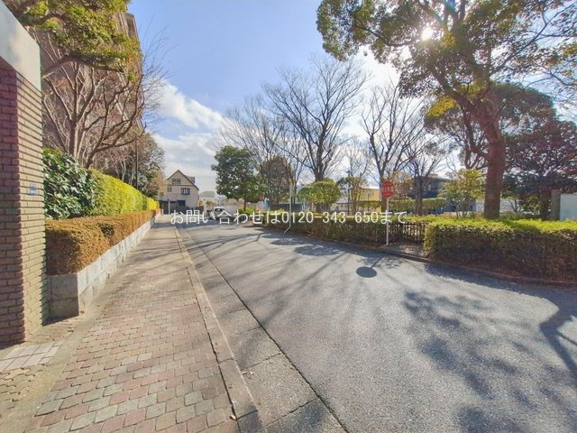 撮影日(2026-01-19 00:00:00)