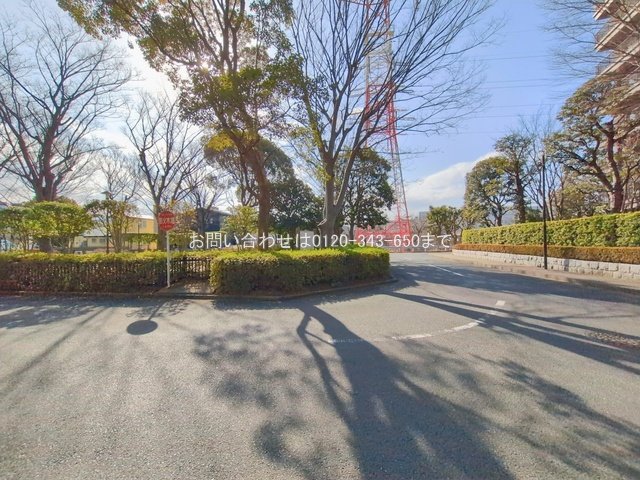 撮影日(2026-01-19 00:00:00)