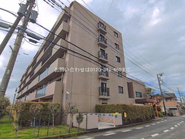 撮影日(2026-04-02 00:00:00)