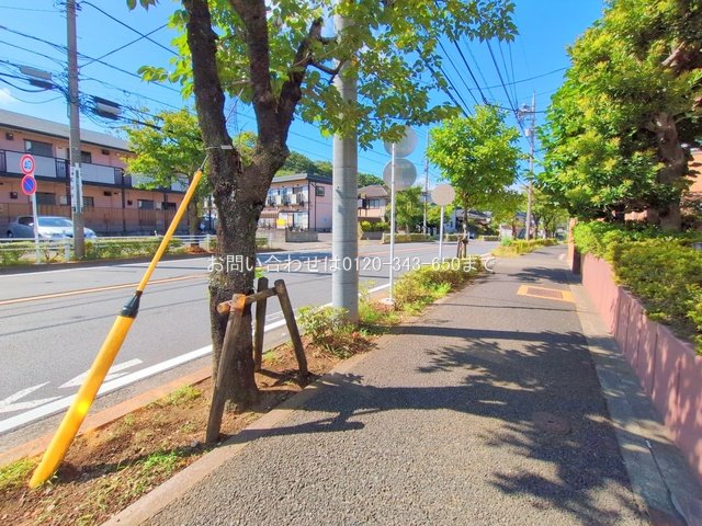 撮影日(2025-09-07 00:00:00)