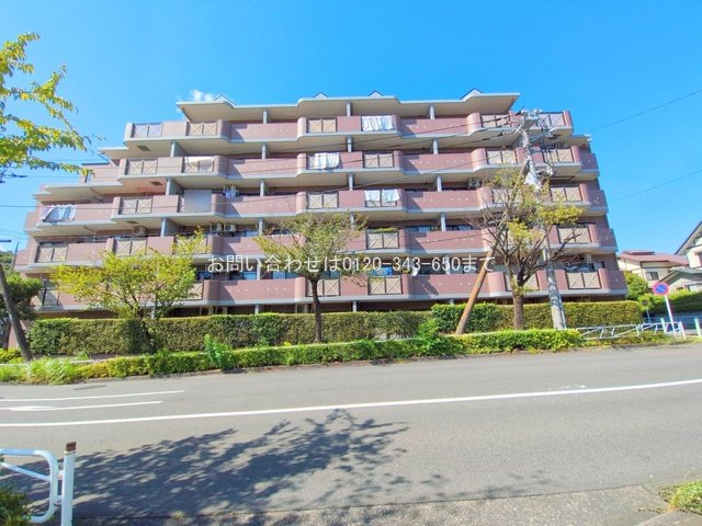 撮影日(2025-09-07 00:00:00)