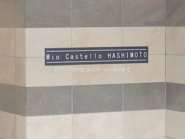 撮影日(2026-04-07 00:00:00)