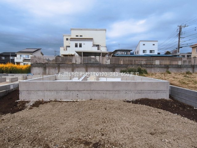 撮影日(2026-03-19 00:00:00)