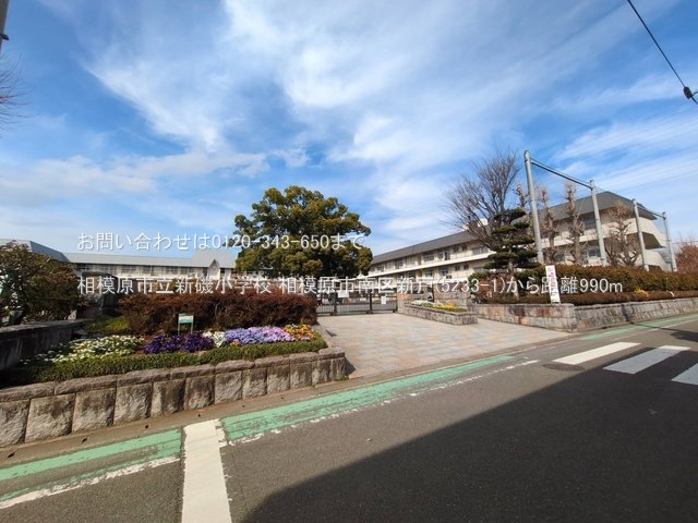 相模原市立新磯小学校 撮影日(2025-03-18) 990m
