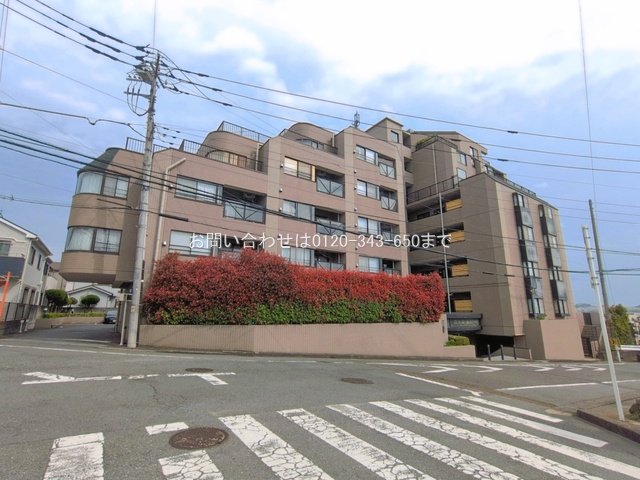 ダイアパレス八王子富士見台 210