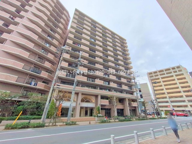 撮影日(2025-11-13 00:00:00)