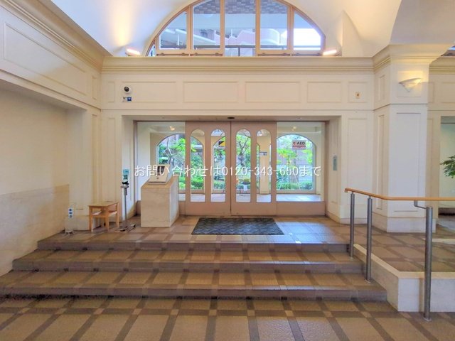 撮影日(2025-11-13 00:00:00)