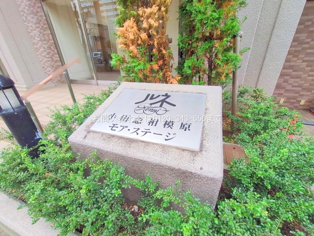 撮影日(2025-11-13 00:00:00)