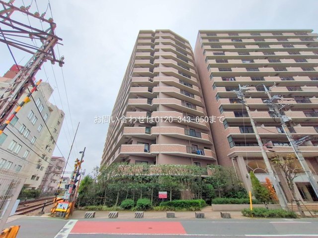 撮影日(2025-11-13 00:00:00)