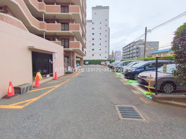 撮影日(2025-11-13 00:00:00)