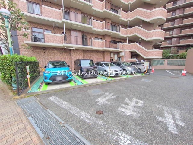 撮影日(2025-11-13 00:00:00)