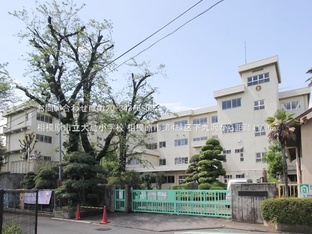 相模原市立大島小学校 撮影日(2024-04-25) 1100m