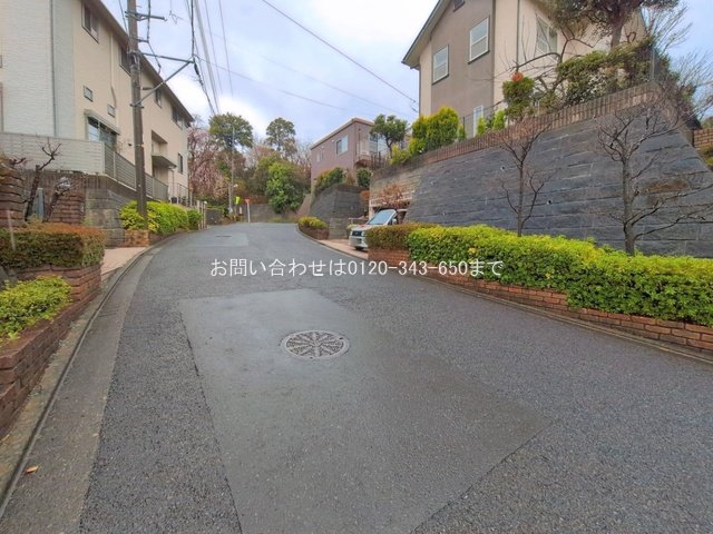 撮影日(2026-03-26 00:00:00)