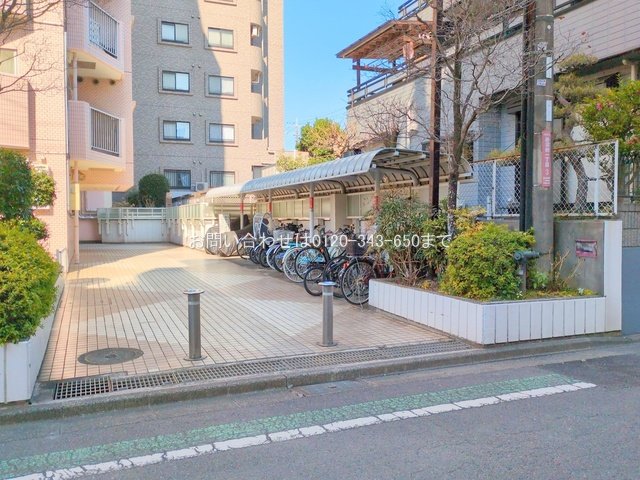 撮影日(2025-03-21 00:00:00)