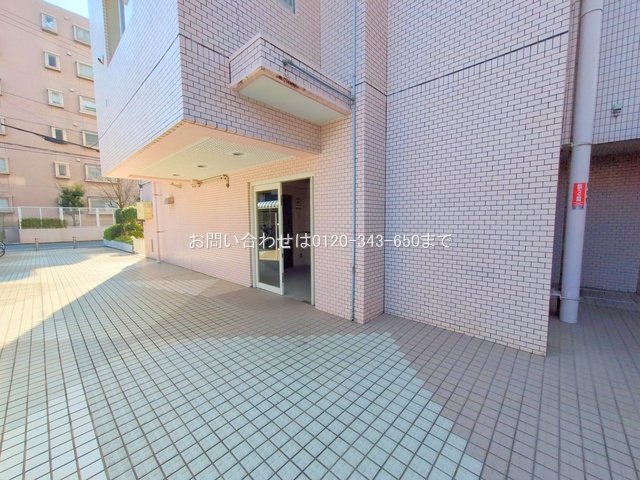 撮影日(2025-03-21 00:00:00)