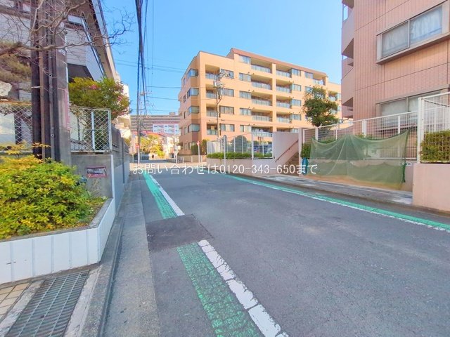 撮影日(2025-03-21 00:00:00)