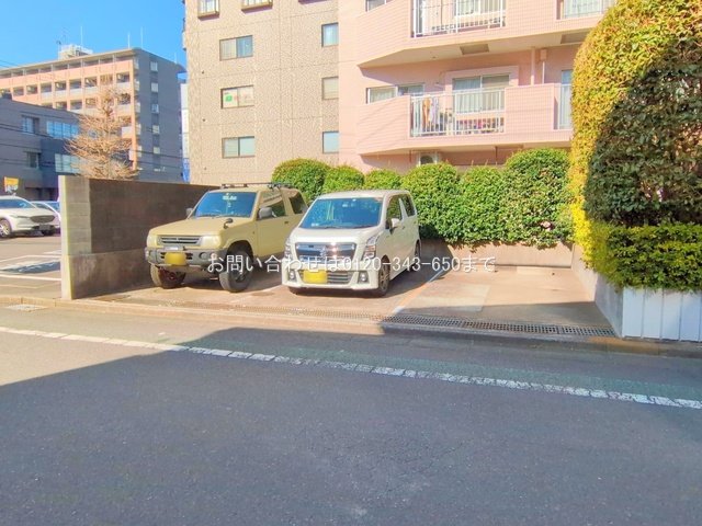 撮影日(2025-03-21 00:00:00)