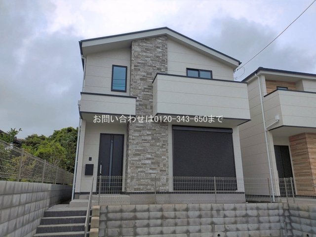 撮影日(2026-06-08 00:00:00)