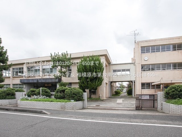 相模原市立東林小学校 撮影日(2024-08-22) 450m