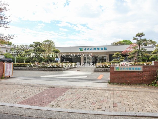さがみ林間病院 撮影日(2024-04-17) 1330m