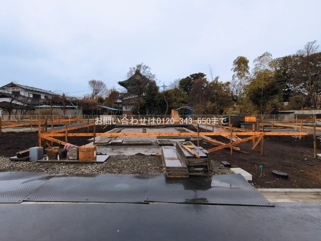 撮影日(2026-03-03 00:00:00)