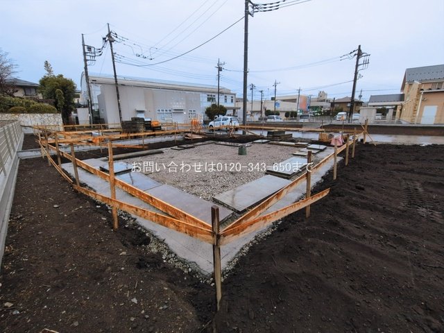 撮影日(2026-03-03 00:00:00)