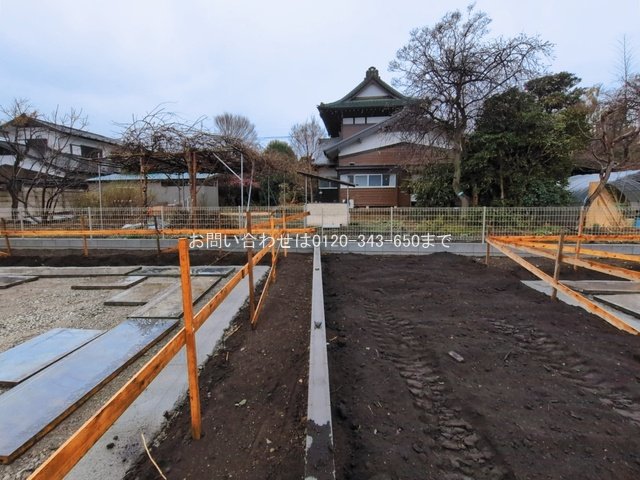 撮影日(2026-03-03 00:00:00)