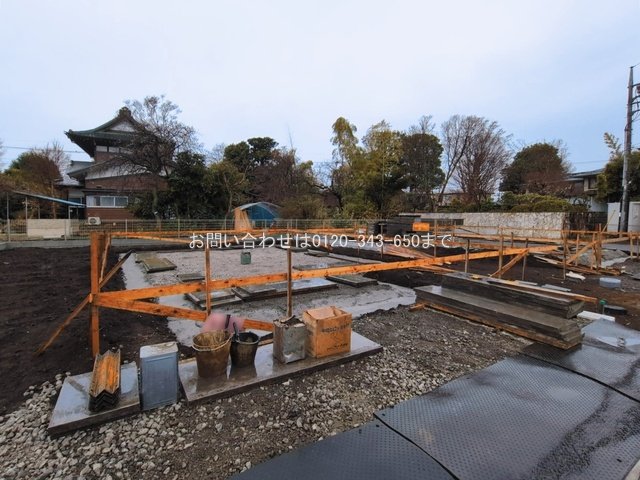 撮影日(2026-03-03 00:00:00)