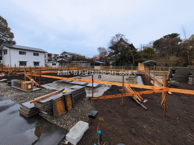 撮影日(2026-03-03 00:00:00)