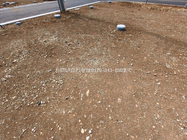 撮影日(2026-03-16 00:00:00)