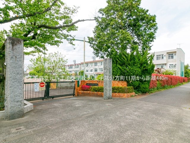 八王子市立元八王子小学校 撮影日(2022-04-26) 440m