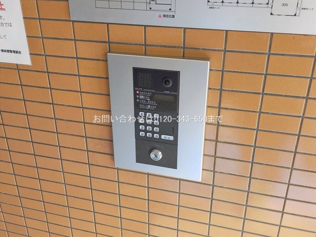 撮影日(2026-02-12 00:00:00)