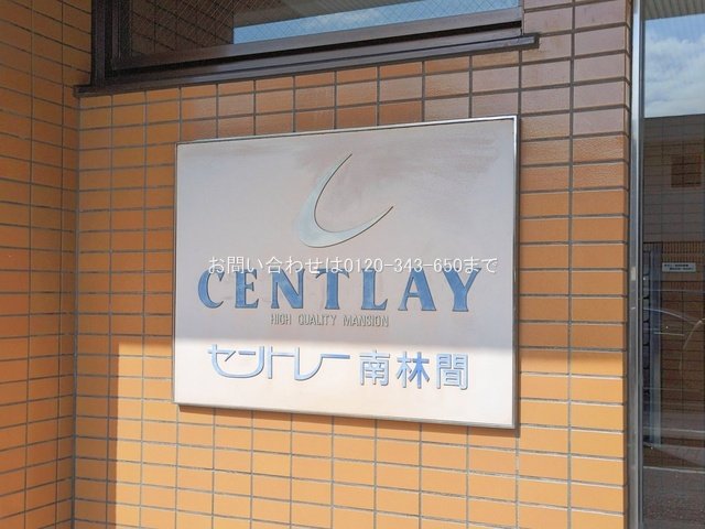 撮影日(2026-02-12 00:00:00)