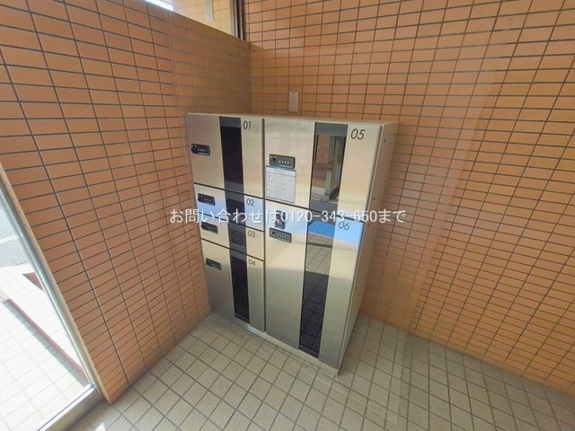 撮影日(2026-02-12 00:00:00)