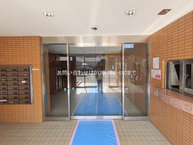 撮影日(2026-02-12 00:00:00)