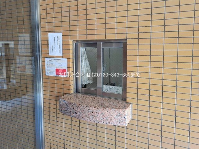 撮影日(2026-02-12 00:00:00)