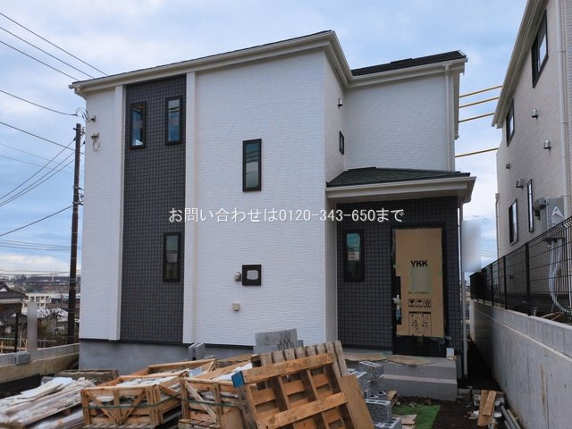撮影日(2026-03-19 00:00:00)