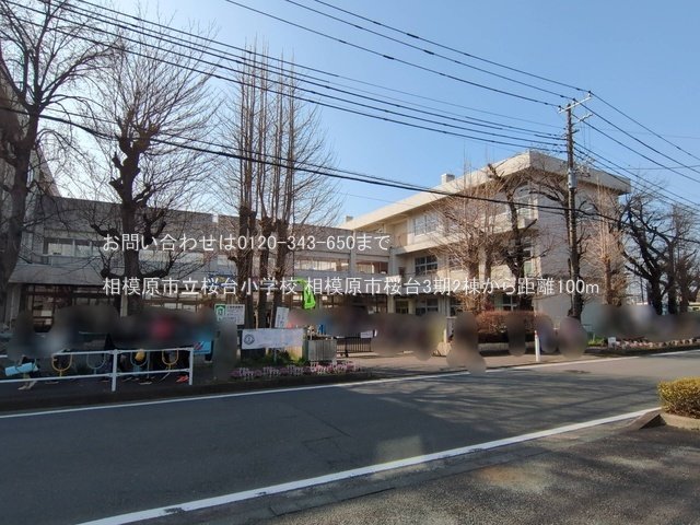 相模原市立桜台小学校 撮影日(2025-03-14) 100m