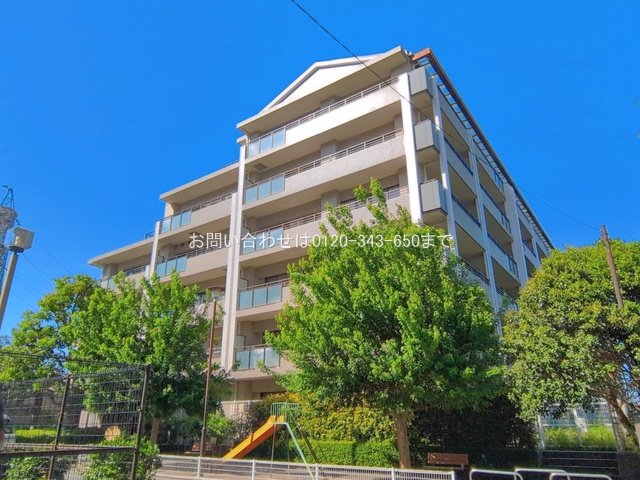 撮影日(2026-05-11 00:00:00)