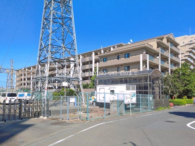 撮影日(2026-05-11 00:00:00)