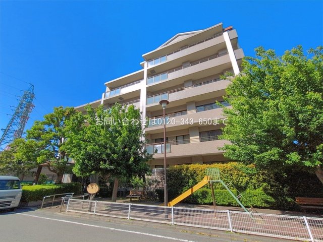 撮影日(2026-05-11 00:00:00)