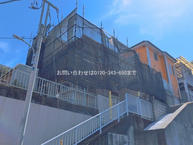 撮影日(2026-05-11 00:00:00)