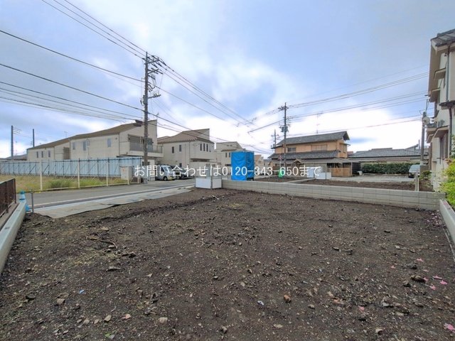撮影日(2026-05-01 00:00:00)
