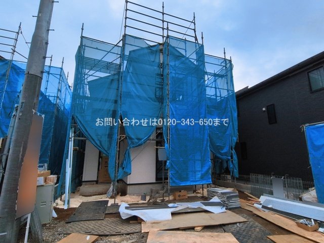 撮影日(2026-03-02 00:00:00)