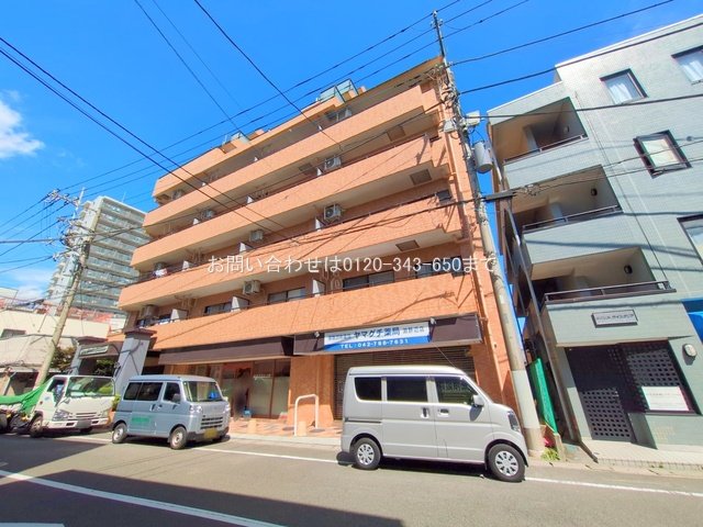 ライオンズマンション淵野辺 203